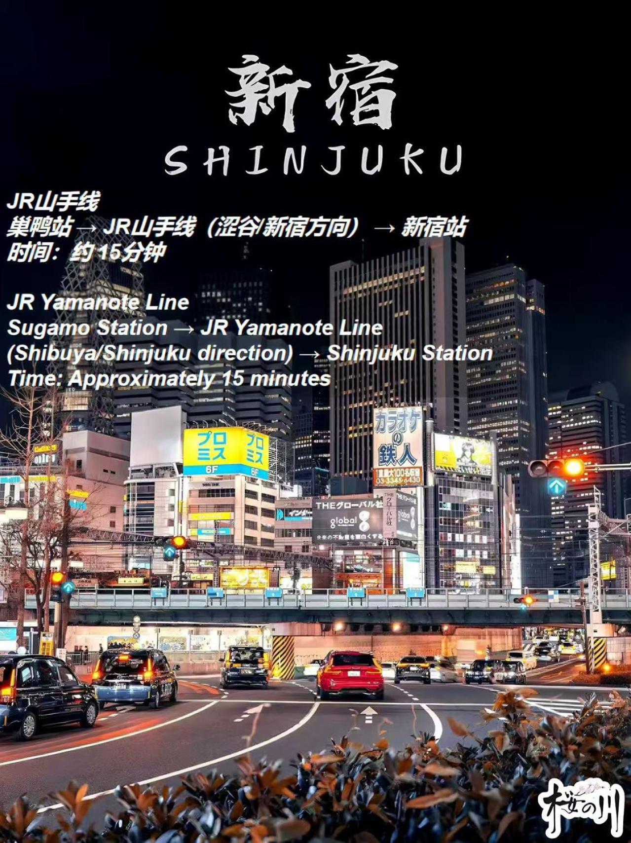 Appartamento 桜の川3 Sugamo Diamond Mansion 105 Direct To Ikebukuro Yamanote Line 5Mins Tokyo Esterno foto